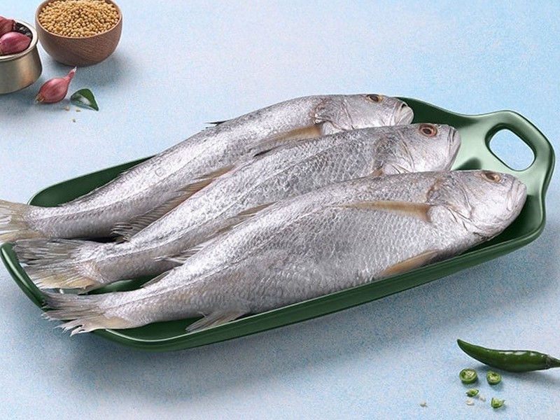(সামুদ্রিক সাদা পোয়া মাছ)
