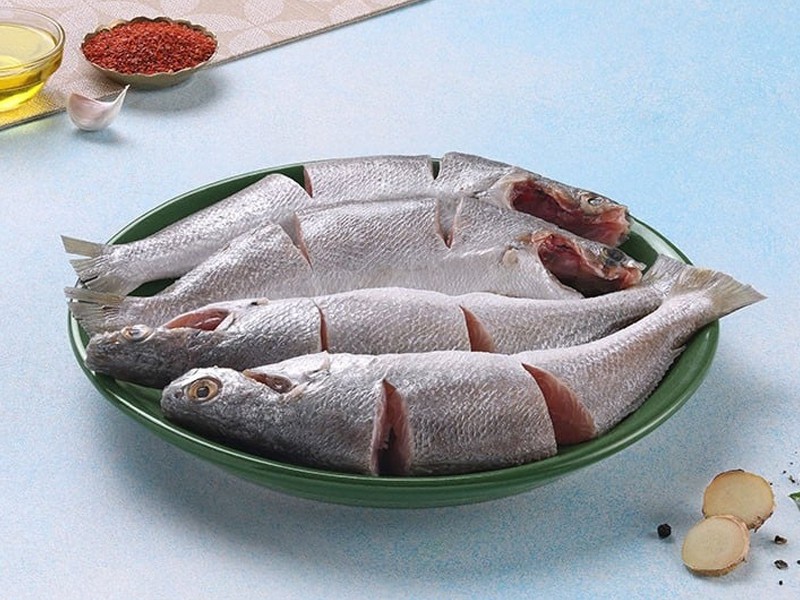 সামুদ্রিক সাদা পোয়া (ক্লিন ড্রেস)