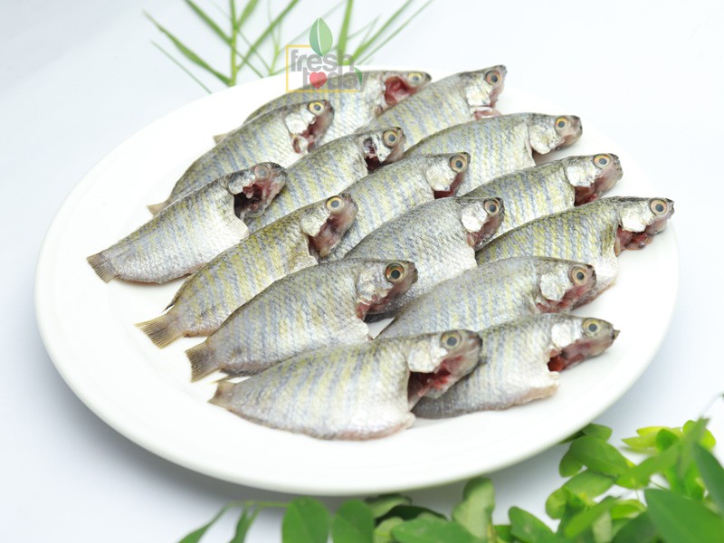 Biler Khalisa Fish-খলিশা মাছ (Clean & Dressed)