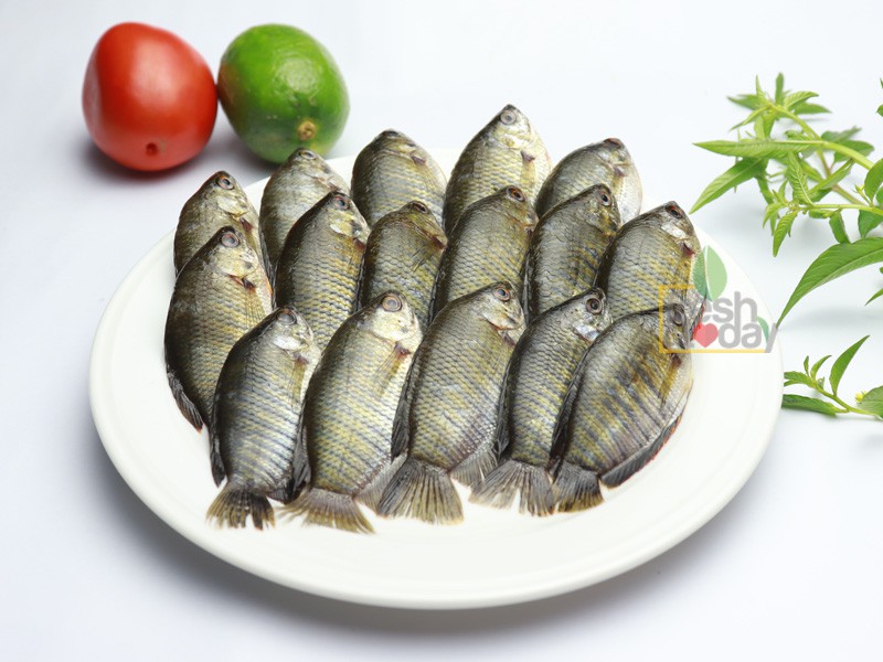 Biler Khalisa Fish (বিলের খলিশা মাছ)
