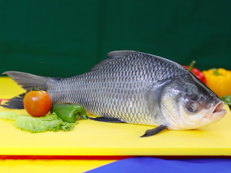 Deshi Katol Fish Whole (Size 1.5kg)