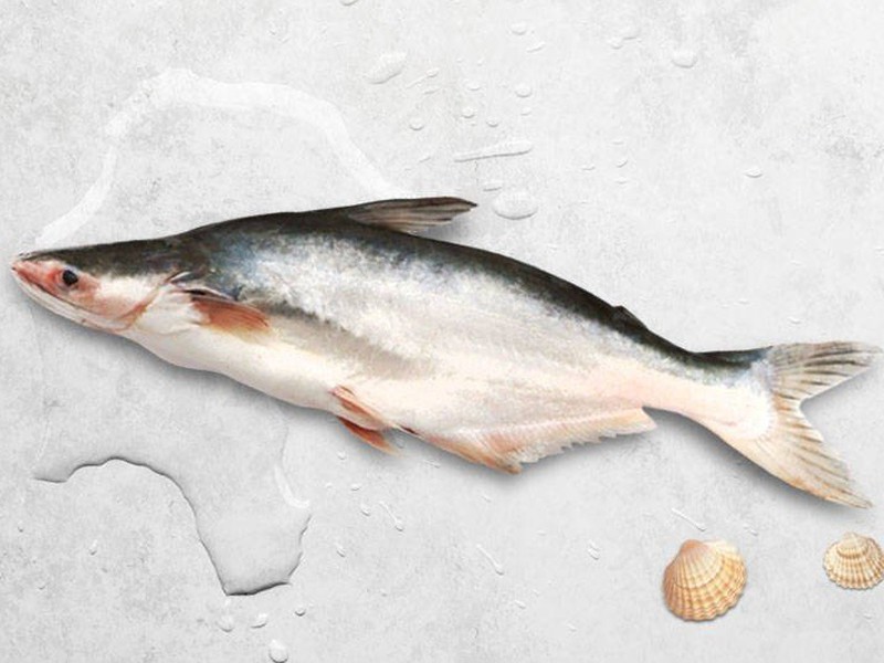 River Pangash Fish Whole. (নদীর পাঙ্গাশ মাছ আস্ত)