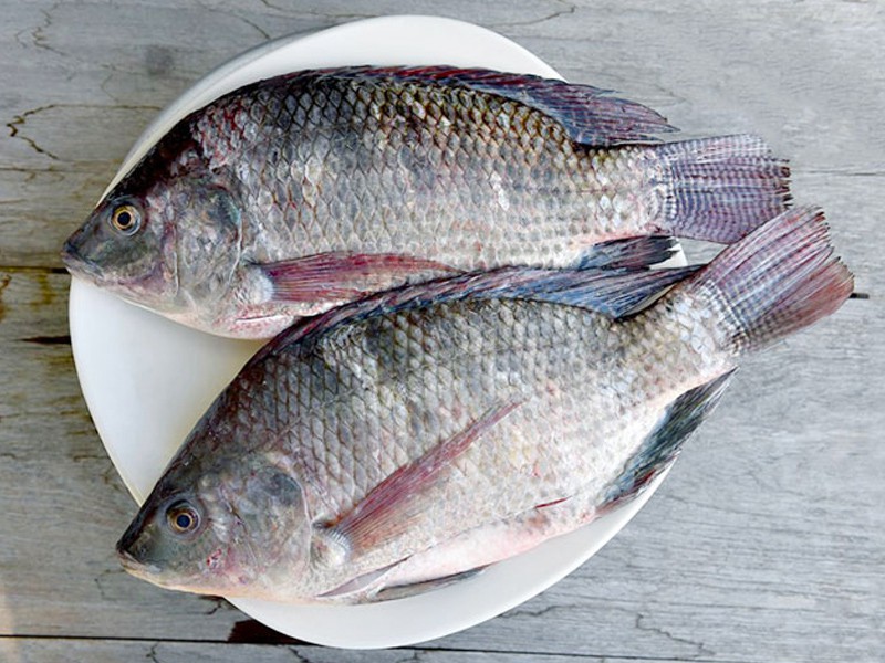 Deshi Telapia Fish Whole (Size-250gm)
