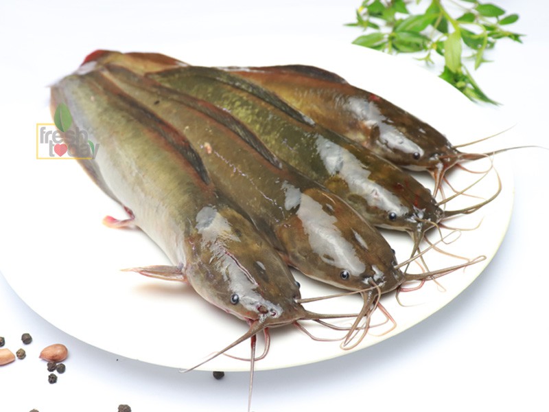 দেশী মাগুর মাছ আস্ত