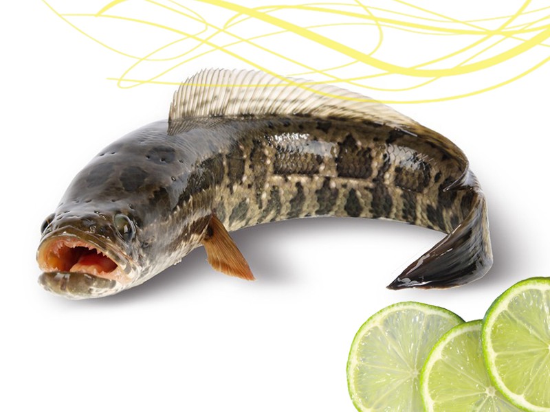 Deshi Taki Fish Whole.
