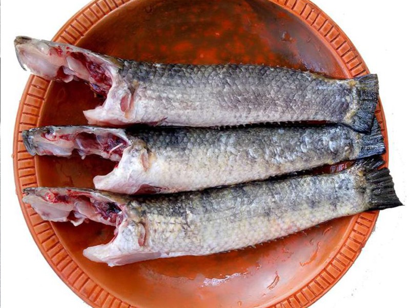 Deshi Taki Fish Whole Clean & Dressed (রেডি টু কুক)
