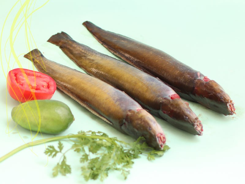 Deshi Magur Fish Belly Clean & Dressed.