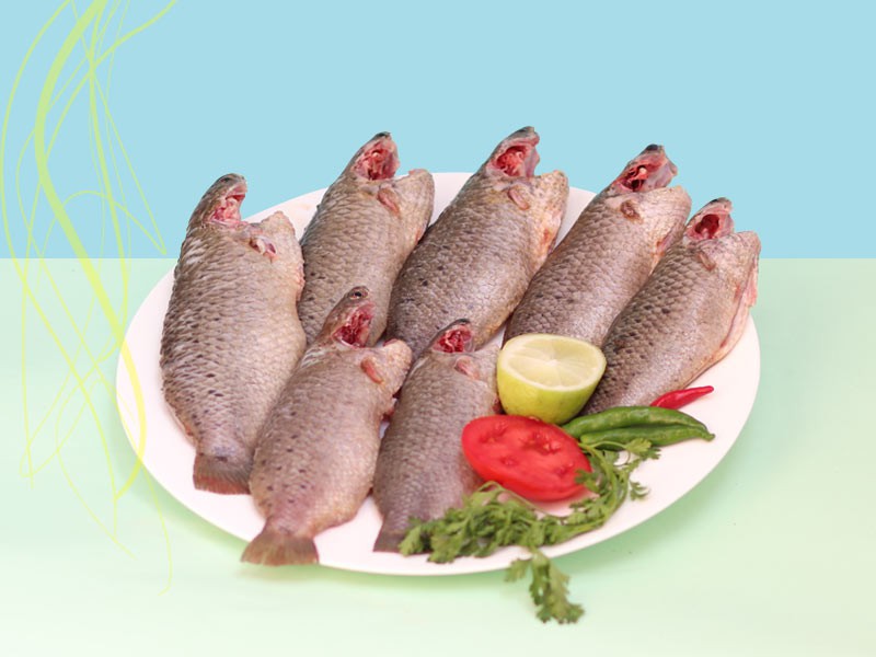 Fresh Koi Fish (Belly Clean & Dressed)