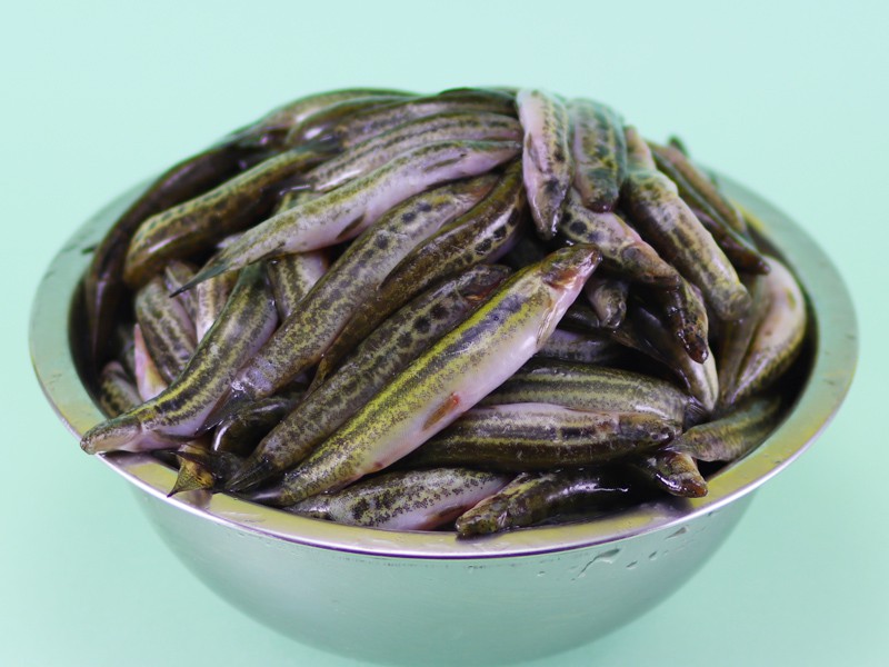 Deshi Gutum Fish Whole (দেশি গুতুম মাছ)