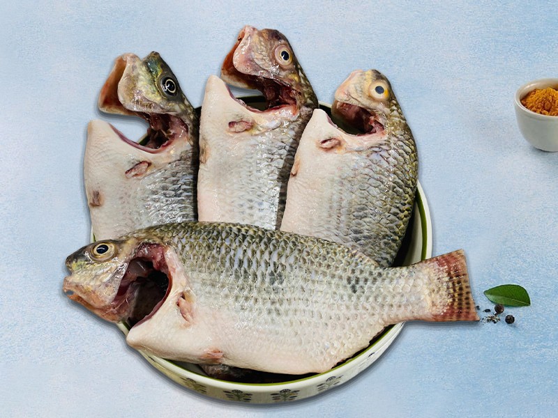 Deshi Telapia Fish 500.gm Size (Belly Clean & Dressed)