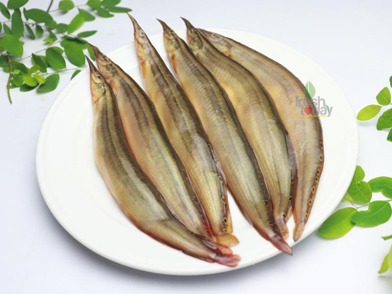 দেশী তারা বাইম মাছ আস্ত