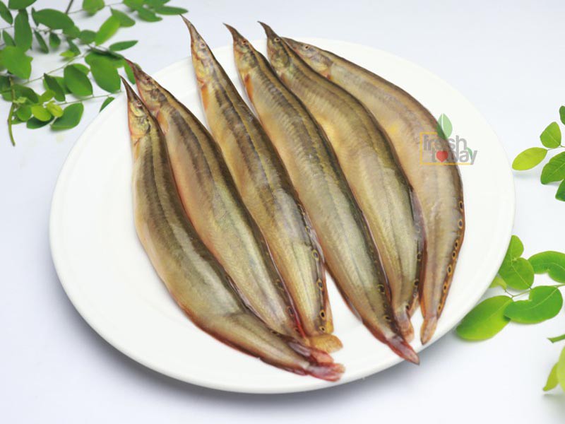 Deshi Tara Baim Fish Whole (দেশী তারা বাইম)